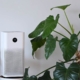 Air purifier and houseplant in living room. For fresh air and healthy life concept.